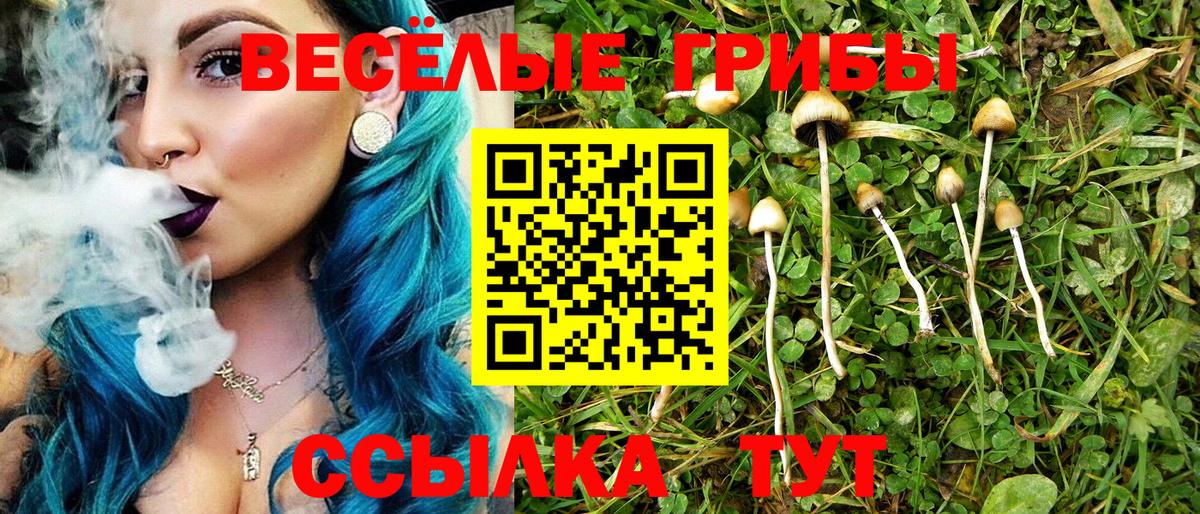 МЕФ Коряжма