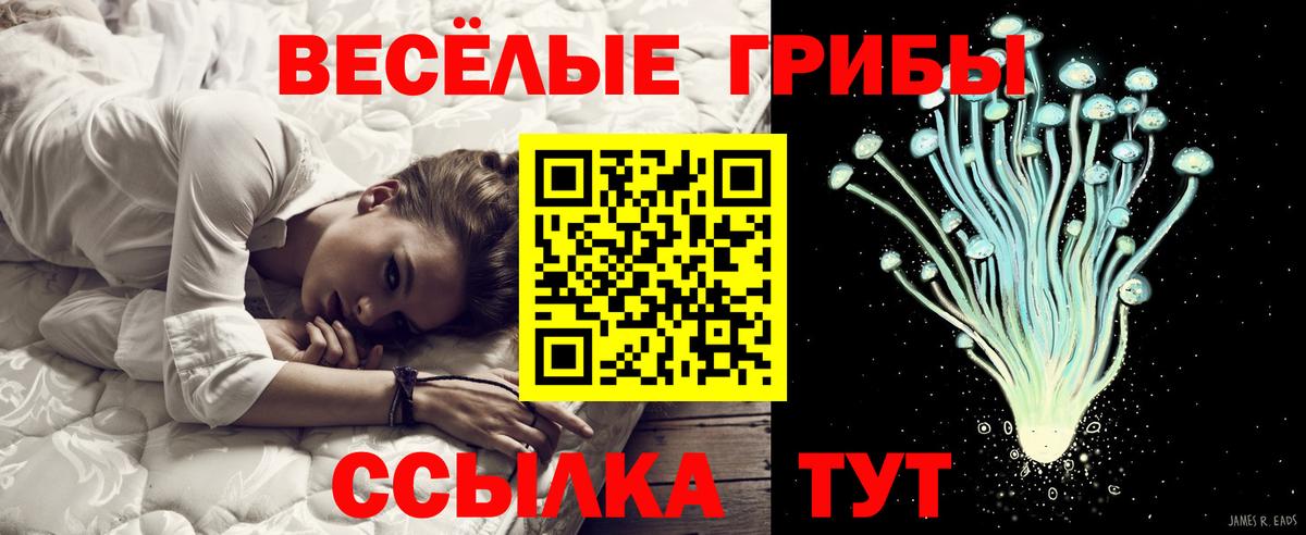 Галлюциногенные грибы ЛСД Коряжма