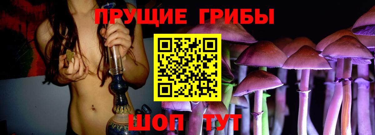 Коряжма  Псилоцибиновые грибы MAGIC MUSHROOMS  Вход с VPN 